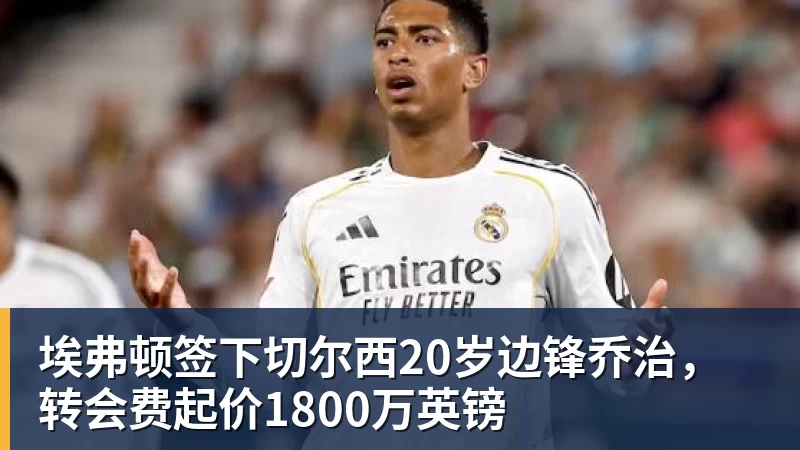 埃弗顿签下切尔西20岁边锋乔治,转会费起价1800万英镑 - 熊猫体育 - 综合体育资讯平台