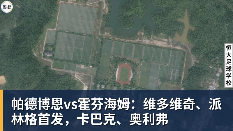 帕德博恩vs霍芬海姆：维多维奇、派林格首发，卡巴克、奥利弗