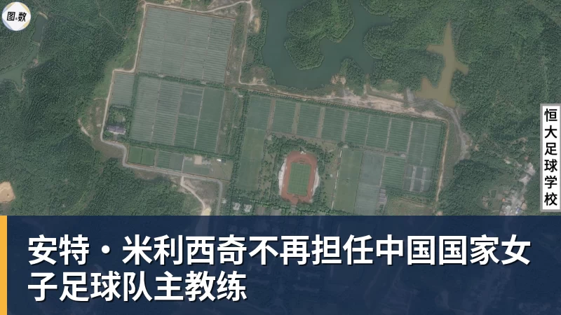安特·米利西奇不再担任中国国家女子足球队主教练